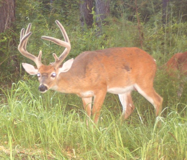 8point