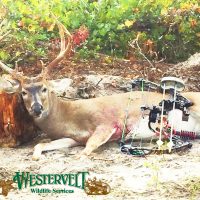 21616196_10214584735358879_2778315406759049826_n